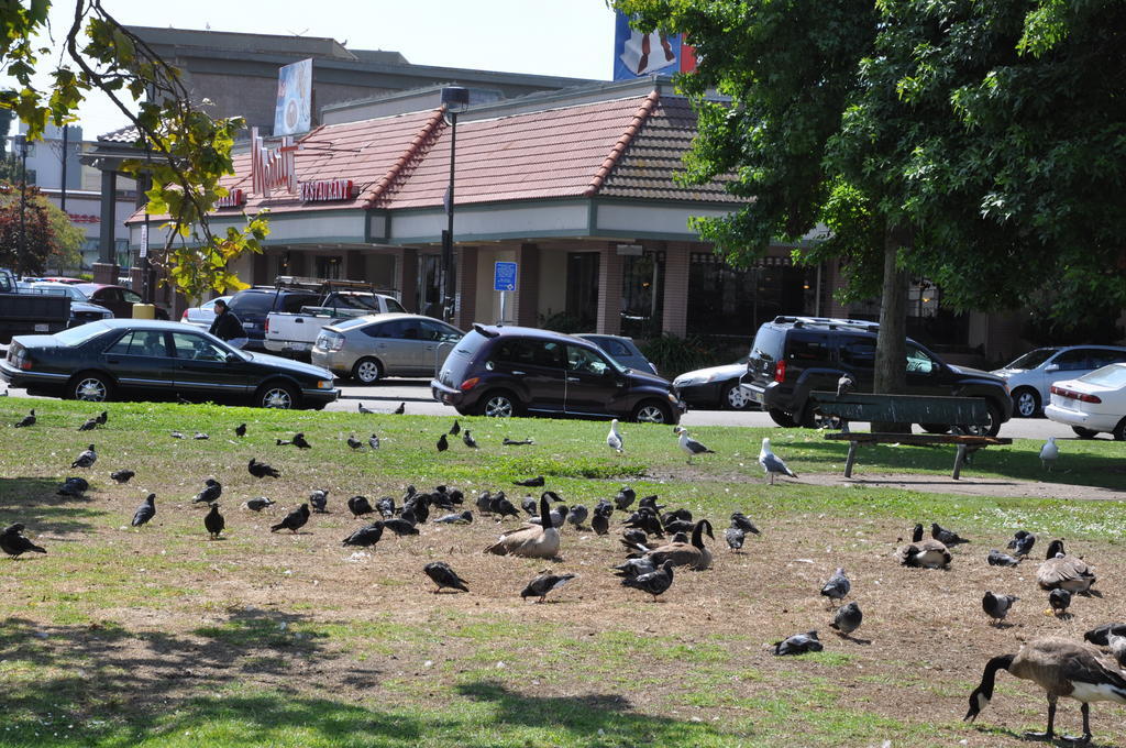 Americas Best Value Inn - Downtown Oakland/Lake Merritt Esterno foto